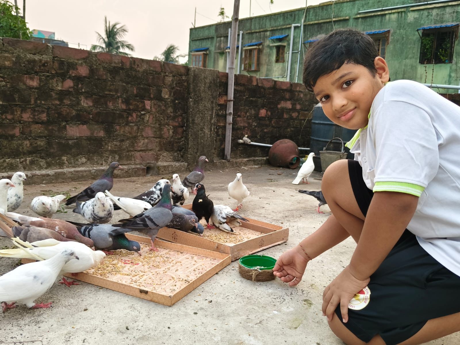Handmade Bird Feeders